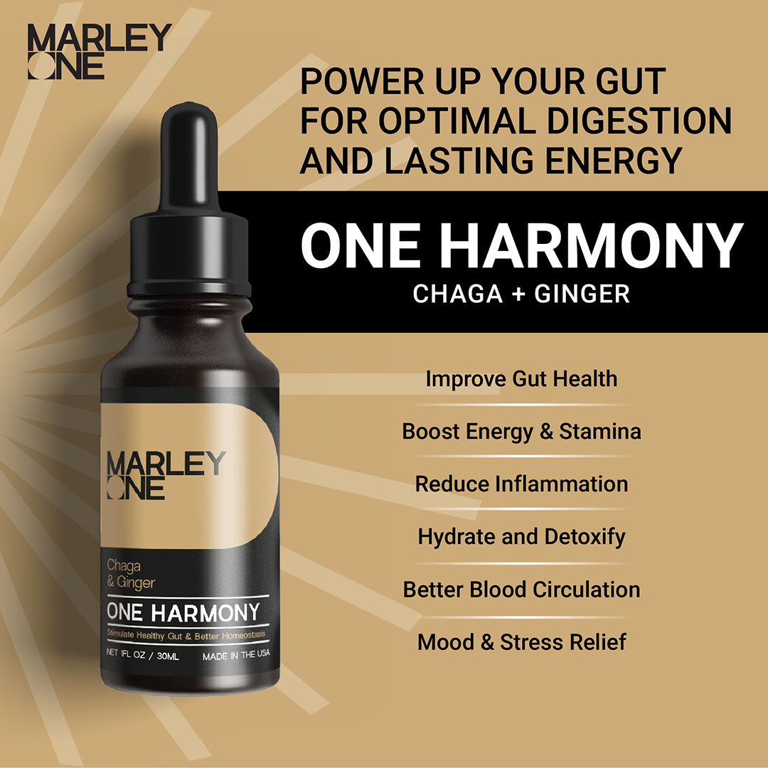 One Harmony - Chaga & Ginger