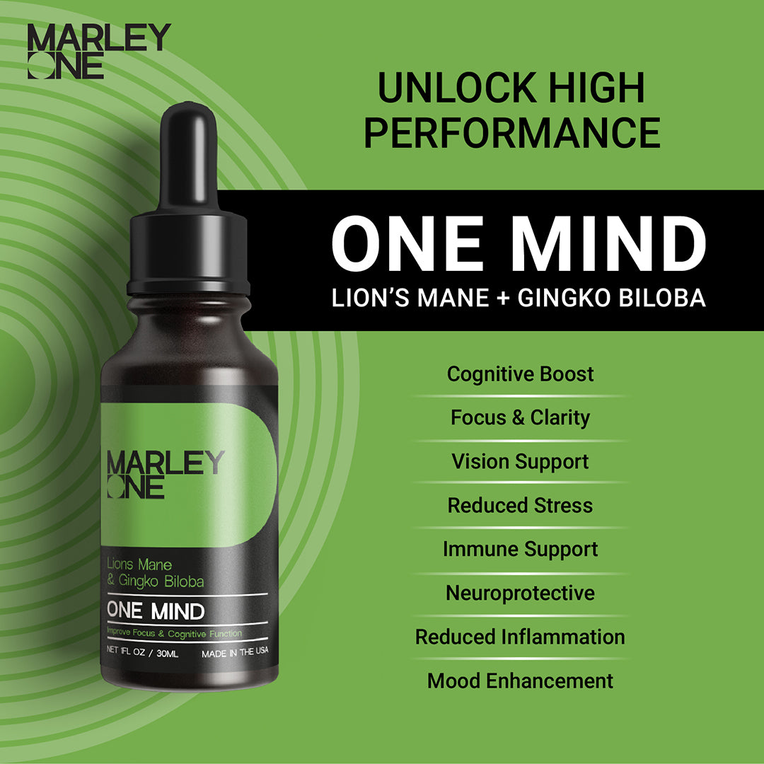 One Mind - Lion's Mane & Ginkgo Biloba