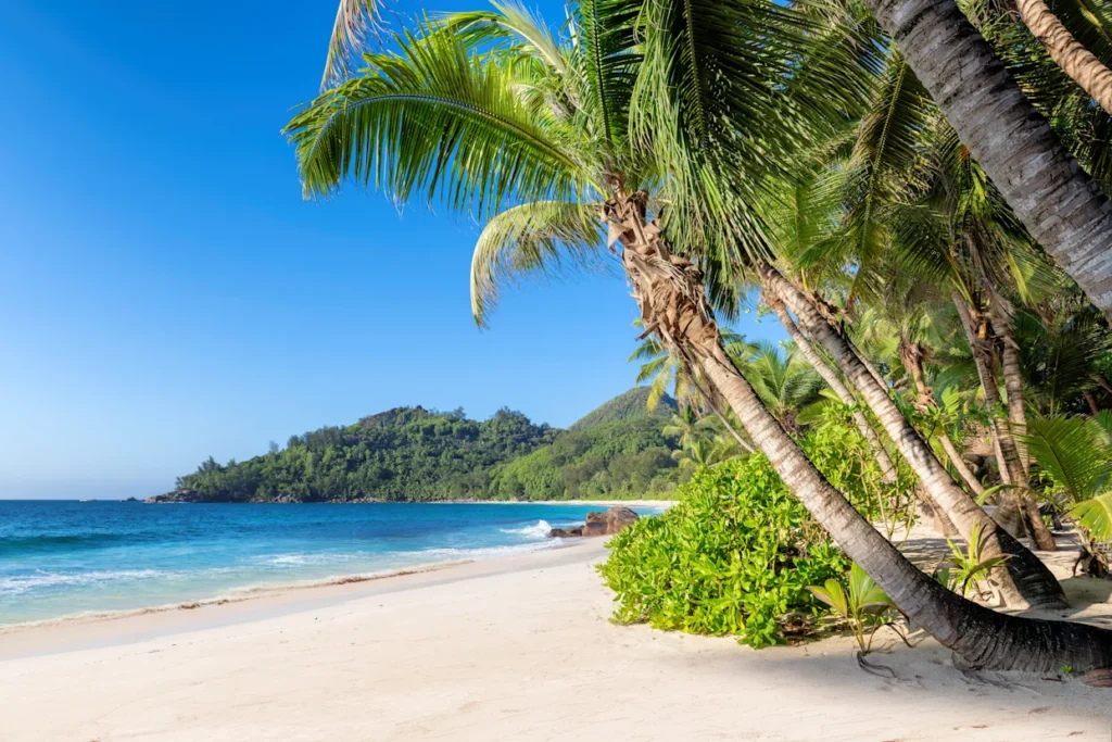 Quiet early morning beach in Jamaica with soft light and open space, reflecting the island’s natural pace of wellness