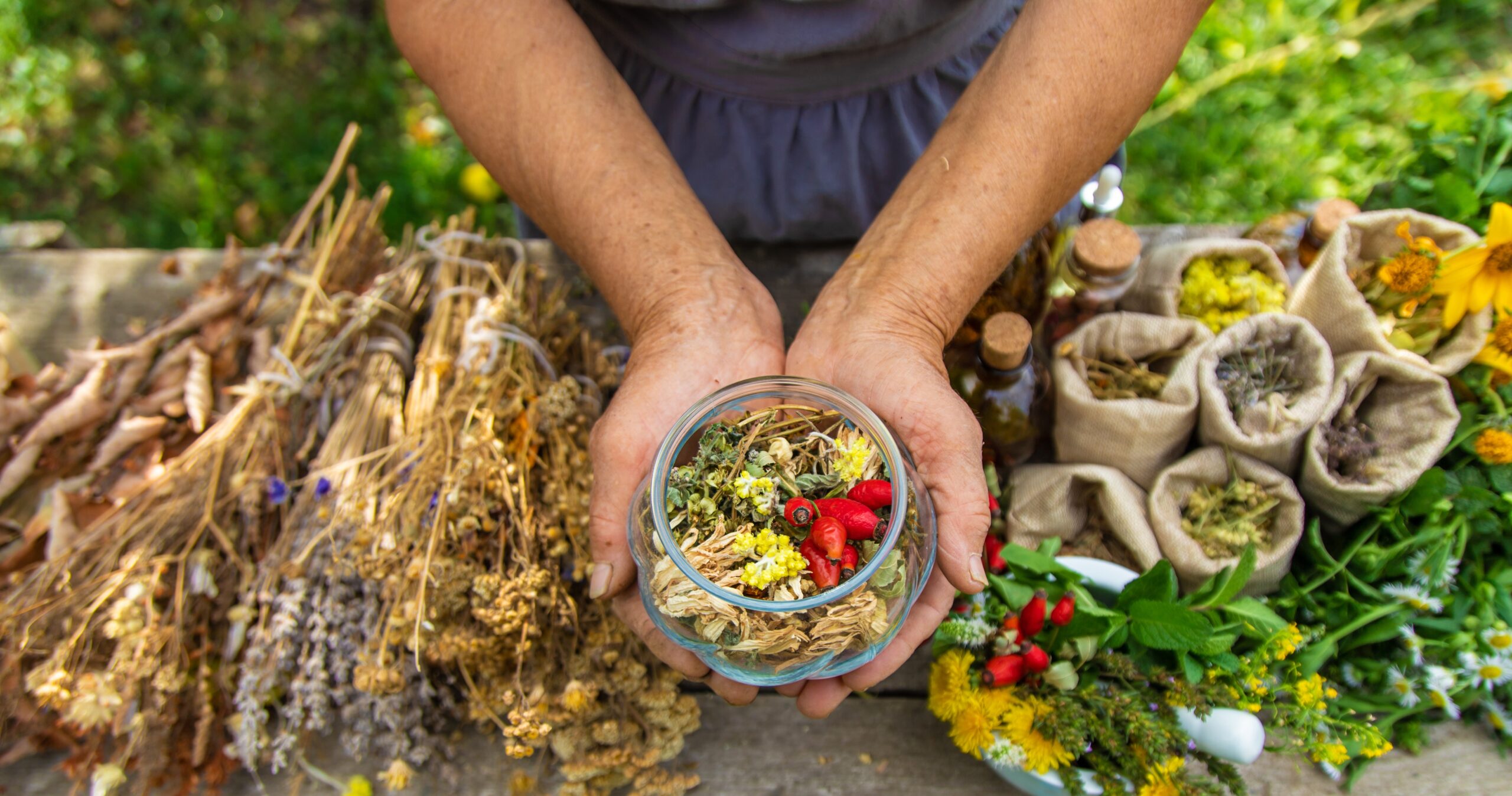 Medicinal,Herbs,Alternative,Medicine,Old,Woman.,Selective,Focus.,Nature.