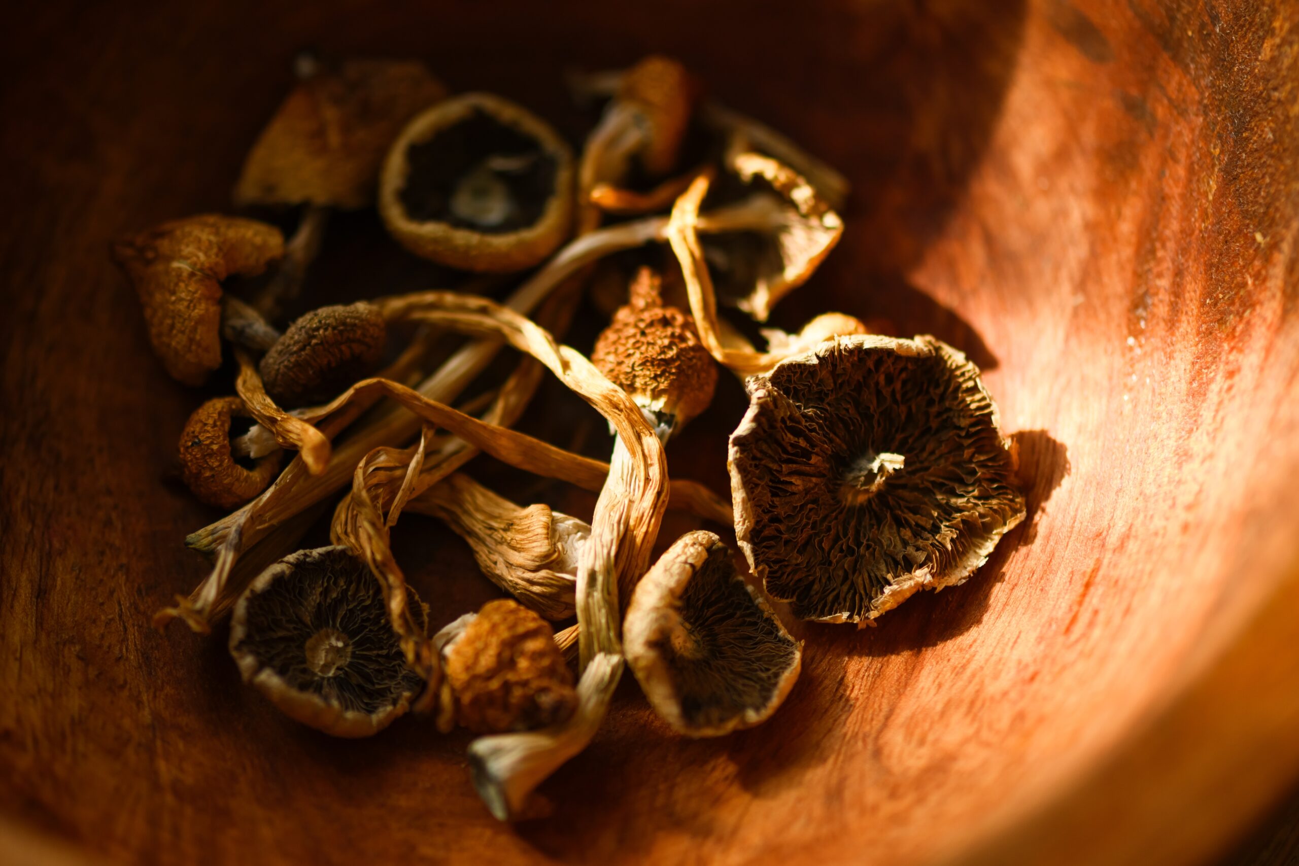 Wooden Plate Filled With Dried Hallucinogenic Magic Mushrooms.