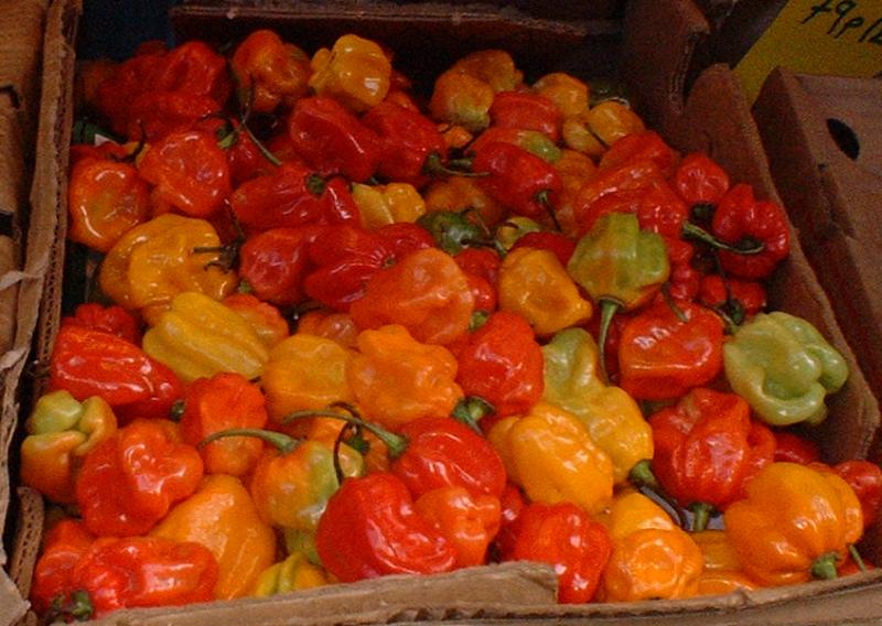 Yellow, red and green Scotch bonnet peppers on sale at Brixton Market in London.