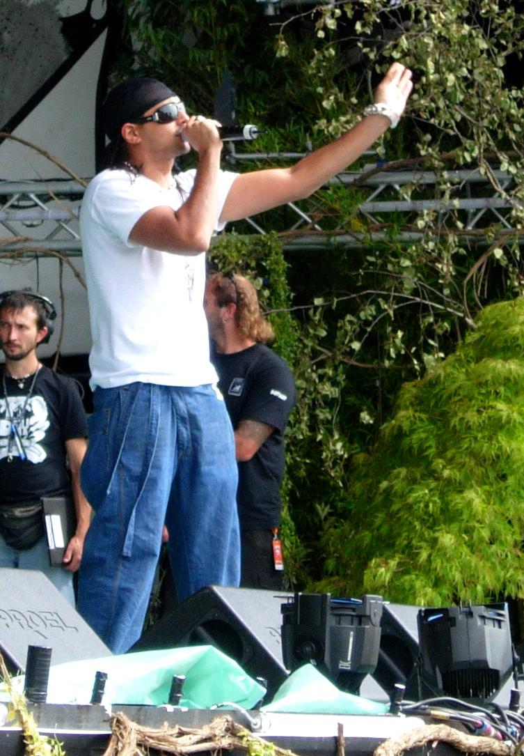 Sean Paul holds a microphone on an outdoor stage with one arm raised.