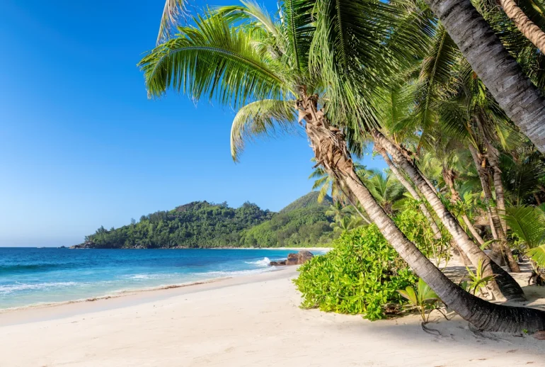 Quiet early morning beach in Jamaica with soft light and open space, reflecting the island’s natural pace of wellness
